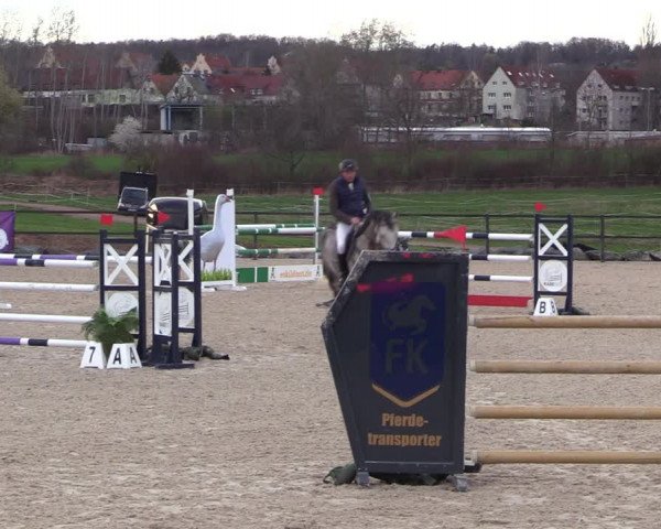 Reitturnier Zwickau 2023