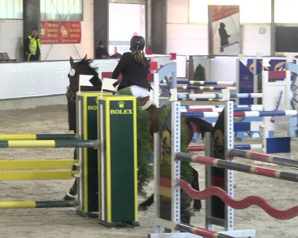 Reitturnier Karlsfeld/Obb. 2021