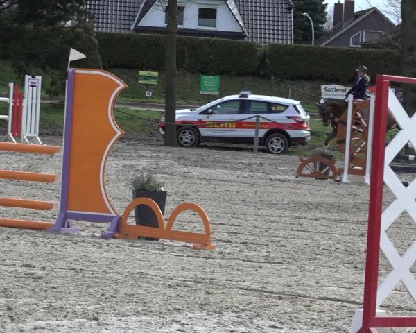 Reitturnier Handorf 2023