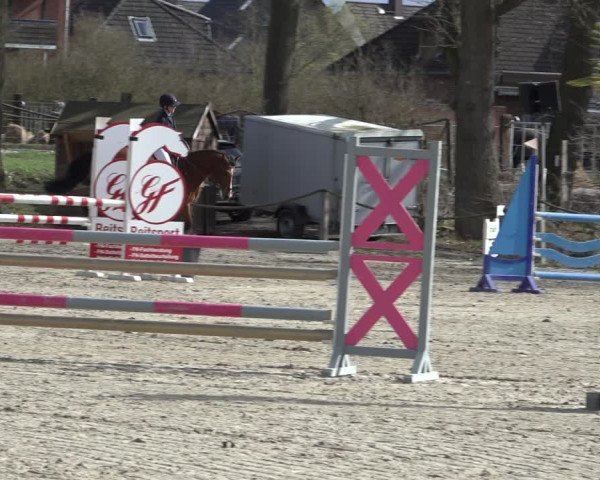 Reitturnier Handorf 2023
