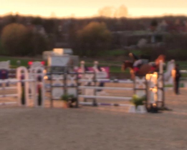Reitturnier Zwickau 2023