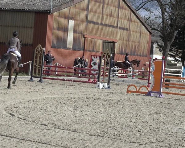 Reitturnier Handorf 2023