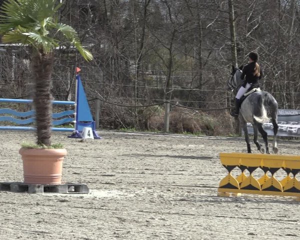 Reitturnier Handorf 2023
