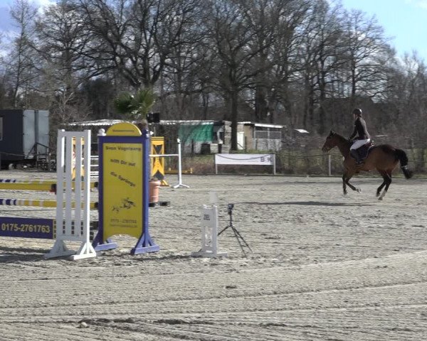Reitturnier Handorf 2023