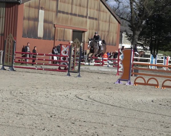 Reitturnier Handorf 2023