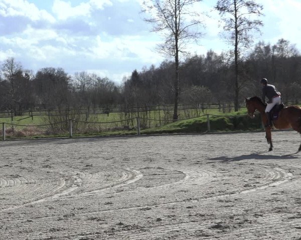 Reitturnier Handorf 2023