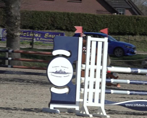 Reitturnier Handorf 2023