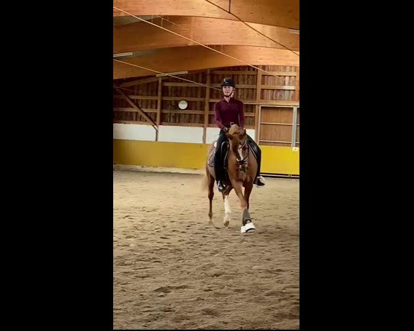 Video von Going Top