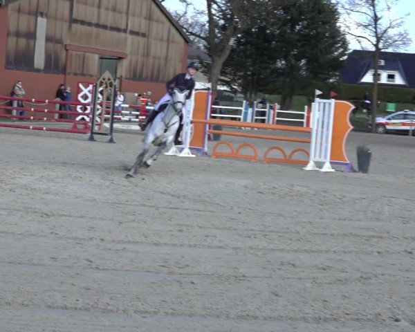 Reitturnier Handorf 2023