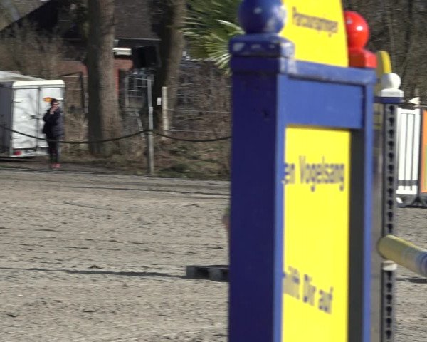 Reitturnier Handorf 2023