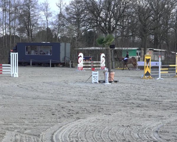 Reitturnier Handorf 2023