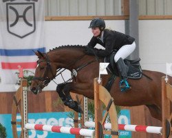 jumper Quick Kiss (Mecklenburg, 2010, from Copasetic)