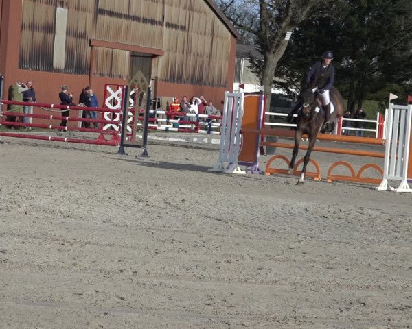 Reitturnier Handorf 2023
