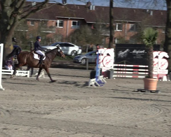 Reitturnier Handorf 2023