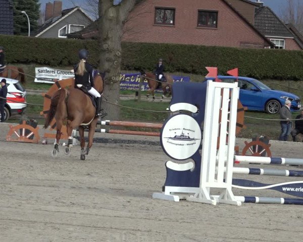 Reitturnier Handorf 2023