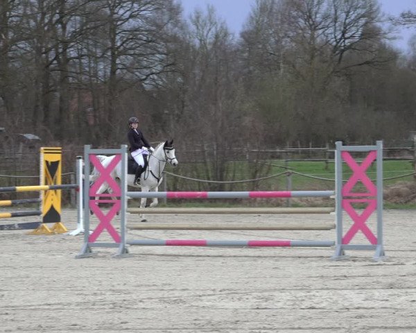 Reitturnier Handorf 2023