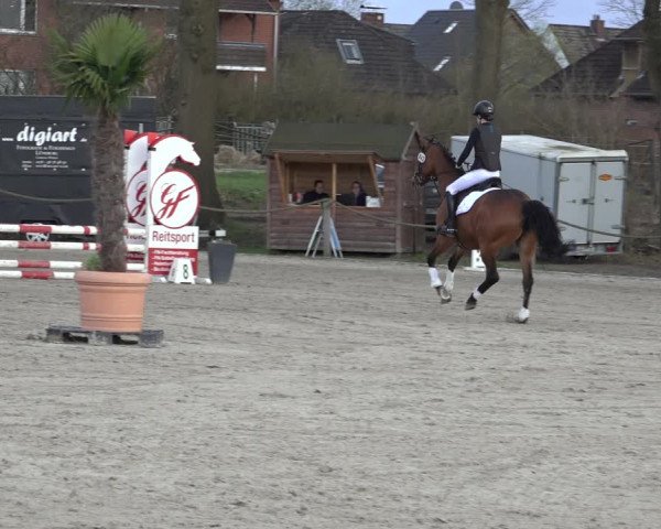 Reitturnier Handorf 2023