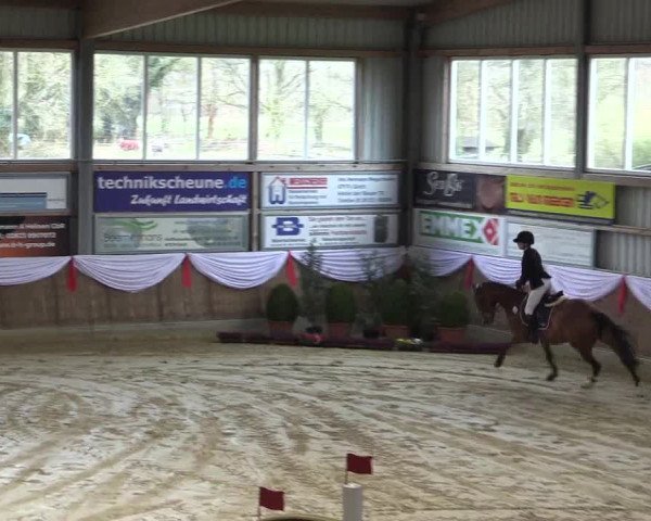 Reitturnier Goch 2023