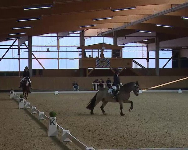 Reitturnier Grafenrheinfeld/Ufr. 2021