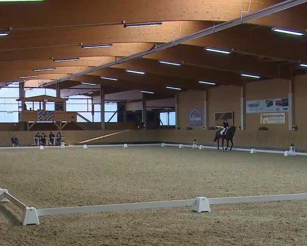 Reitturnier Grafenrheinfeld/Ufr. 2021