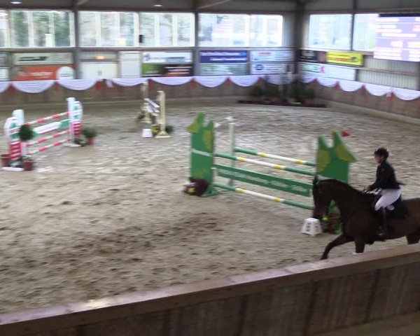 Reitturnier Goch 2023
