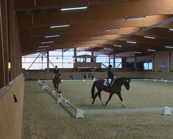 Reitturnier Grafenrheinfeld/Ufr. 2021