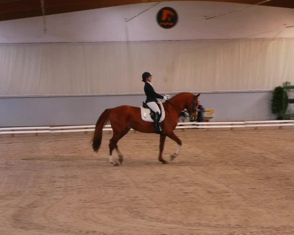 Reitturnier Lentzke 2023