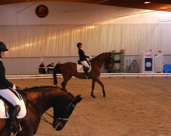 Reitturnier Lentzke 2023