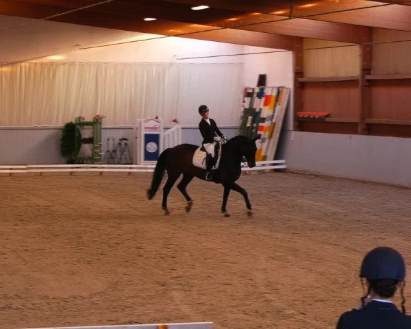 Reitturnier Lentzke 2023