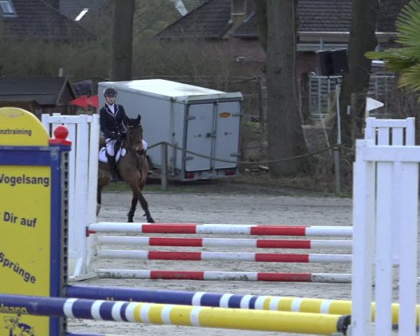 Reitturnier Handorf 2023