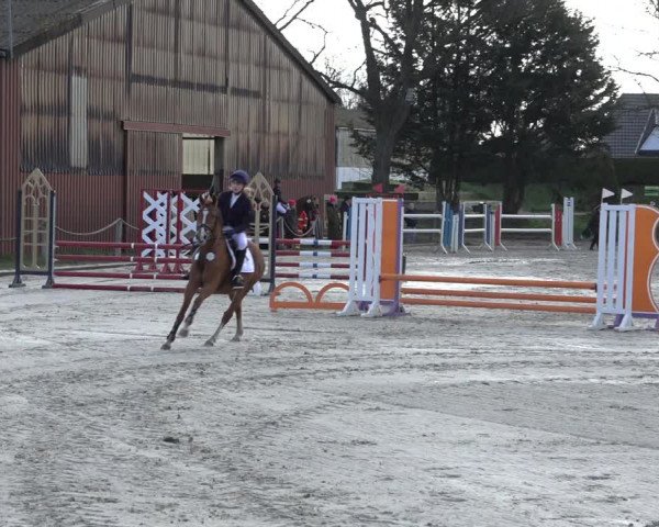 Reitturnier Handorf 2023
