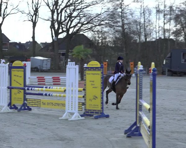 Reitturnier Handorf 2023