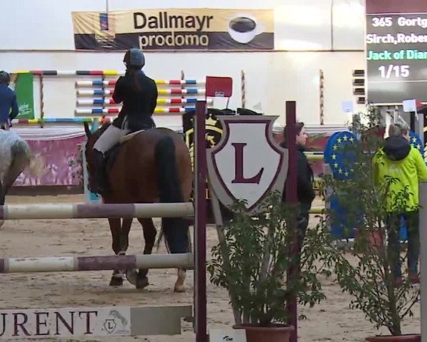 Reitturnier Eicherloh RH Laurent/Obb. 2023