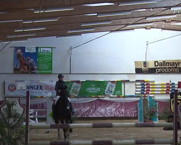 Reitturnier Eicherloh RH Laurent/Obb. 2023