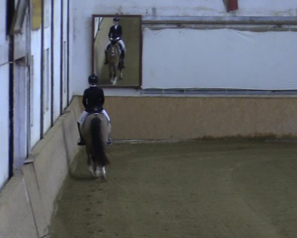 Reitturnier Kottingbrunn 2023