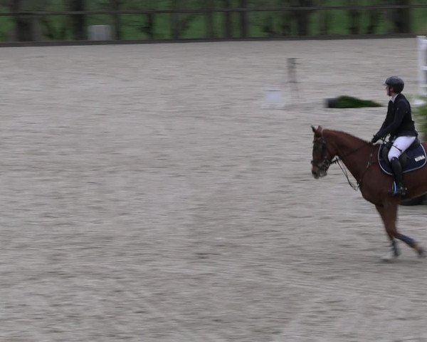 Reitturnier Erkrath 2023