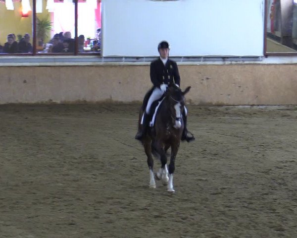 Reitturnier Kottingbrunn 2023