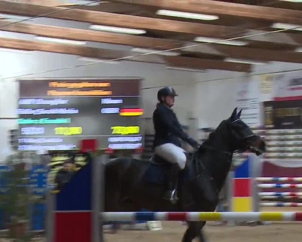 Reitturnier Eicherloh RH Laurent/Obb. 2023