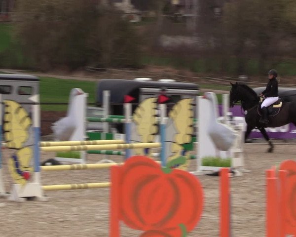 Reitturnier Zwickau 2023