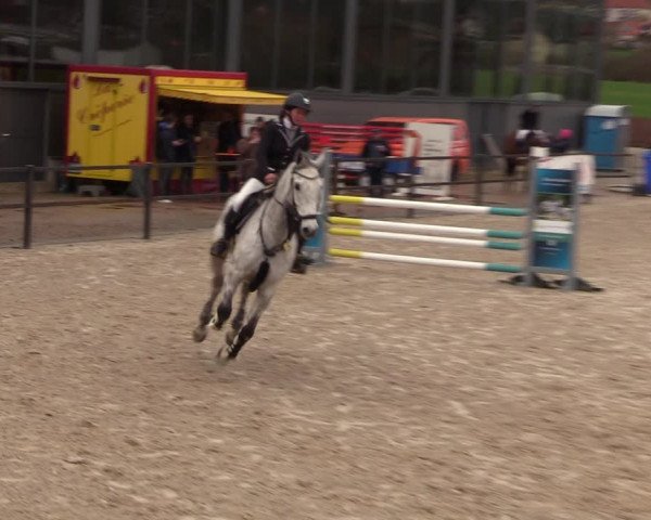 Reitturnier Zwickau 2023