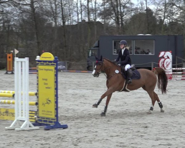 Reitturnier Handorf 2023