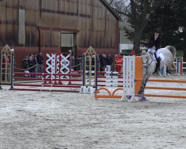 Reitturnier Handorf 2023