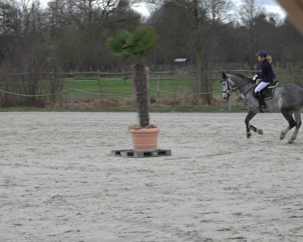 Reitturnier Handorf 2023