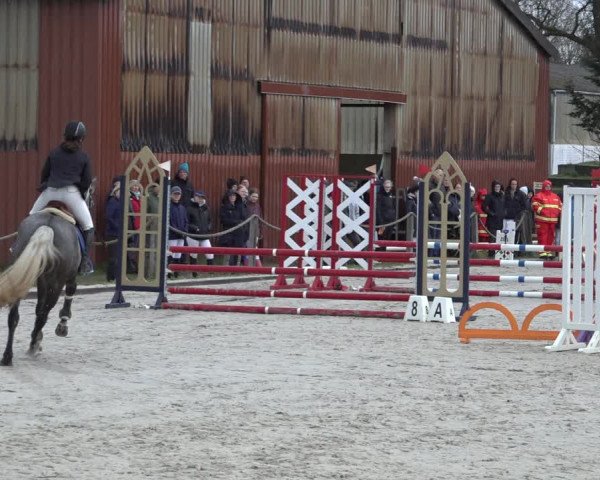 Reitturnier Handorf 2023