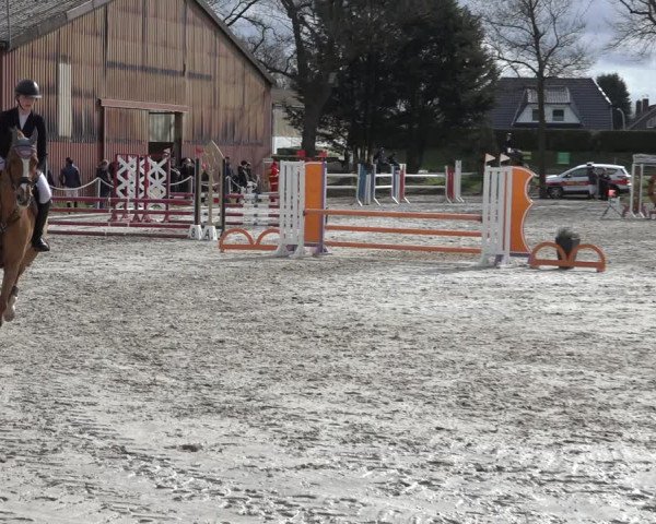 Reitturnier Handorf 2023