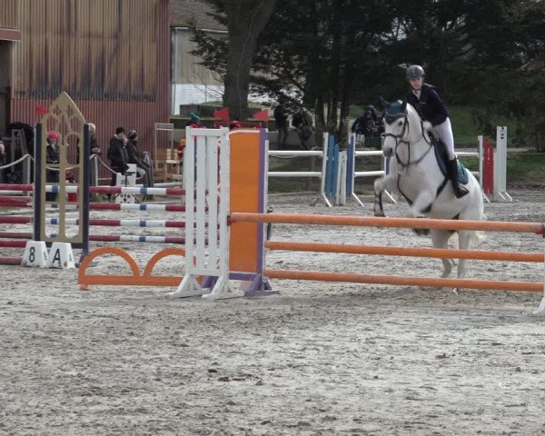 Reitturnier Handorf 2023