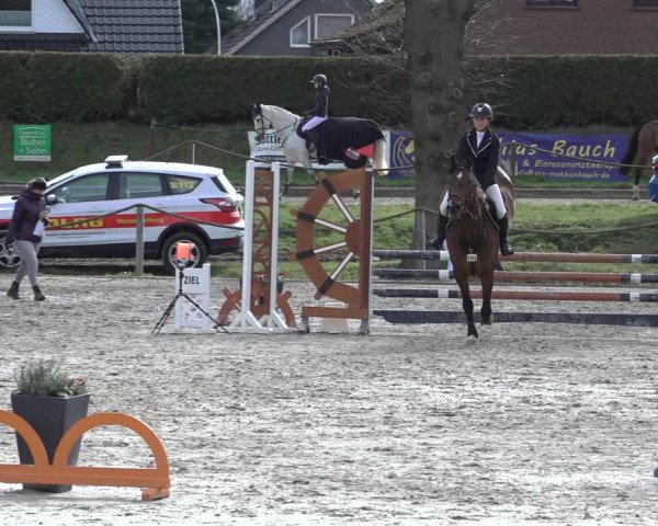 Reitturnier Handorf 2023