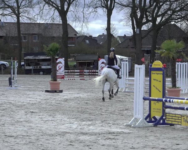 Reitturnier Handorf 2023