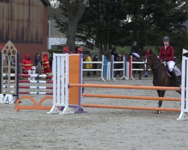 Reitturnier Handorf 2023