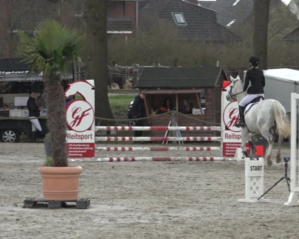 Reitturnier Handorf 2023